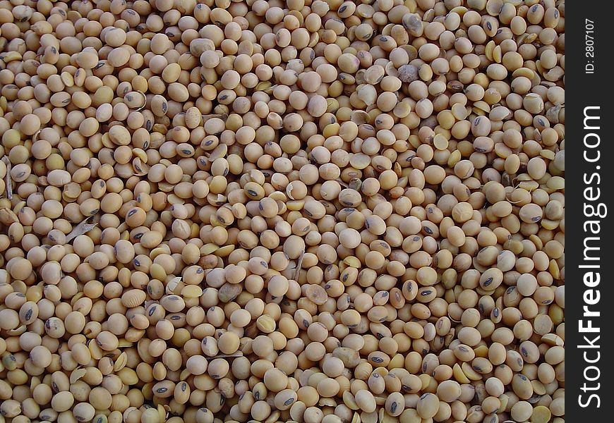 Argentine yellow soyabeans in bulk