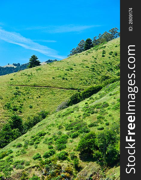 Scenery, Meadow, Blue sky, trees