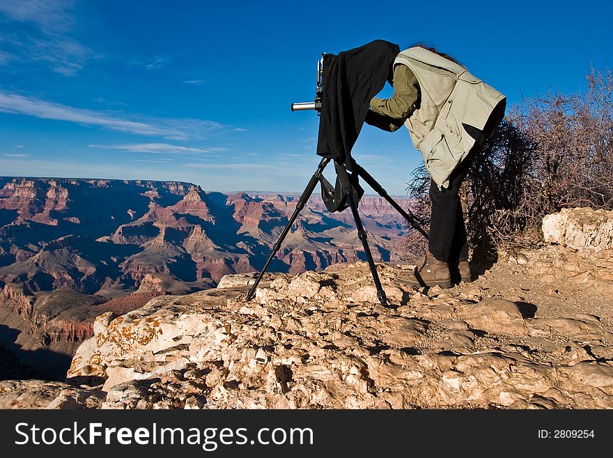 The photographer focusing his large format view camera. The photographer focusing his large format view camera