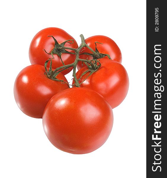 The Spanish tomatoes on a branch on a white background