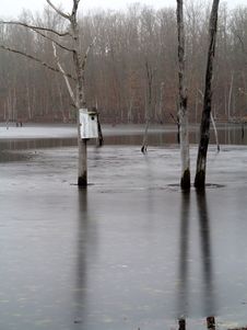 Birdhouse In Pond Royalty Free Stock Photo Birdhouse In Pond Royalty Free Stock Photo