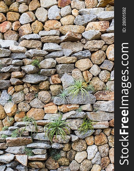 Stone wall with some plants in garden