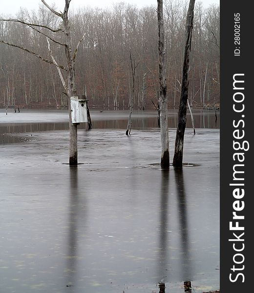 A birdhouse is shown in a pond in Autumn with the surface just beginning to freeze. A birdhouse is shown in a pond in Autumn with the surface just beginning to freeze.