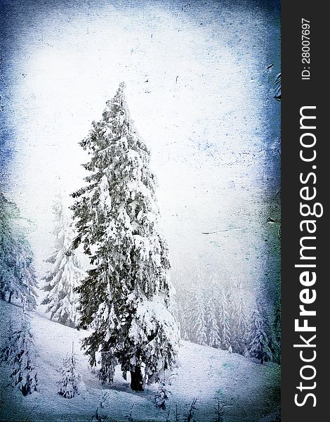 Christmas background with snowy fir trees. Christmas background with snowy fir trees