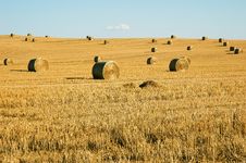 Straw Field Royalty Free Stock Photography Straw Field Royalty Free Stock Photography