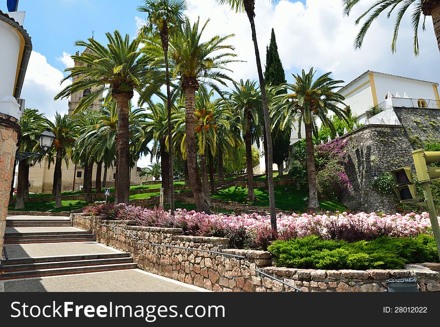 A luxuriant public garden is in the Spanish town Cabra. There are high palm trees and a lot of flowering roses. A luxuriant public garden is in the Spanish town Cabra. There are high palm trees and a lot of flowering roses.