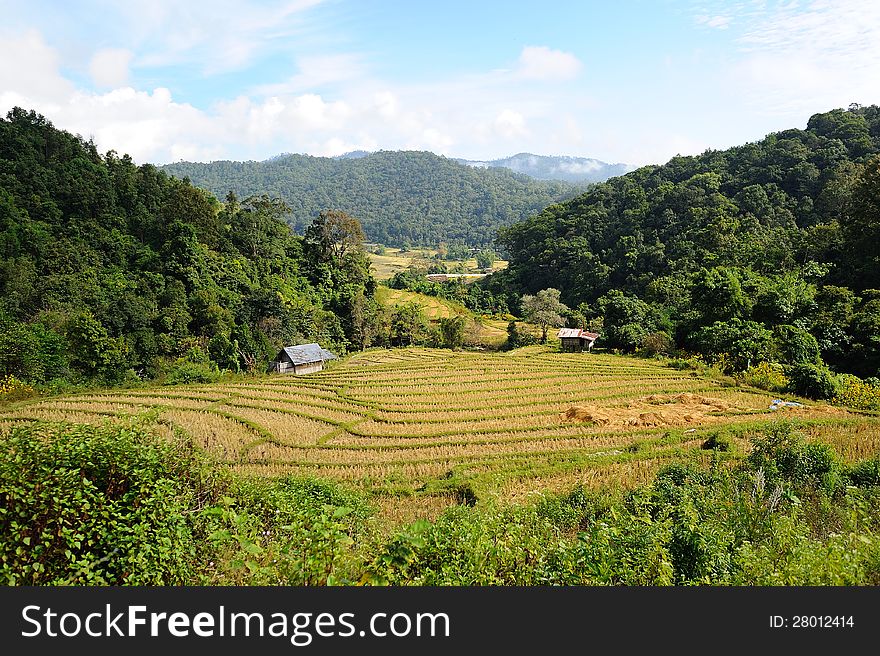 Dried rice terrace in valley, thailand