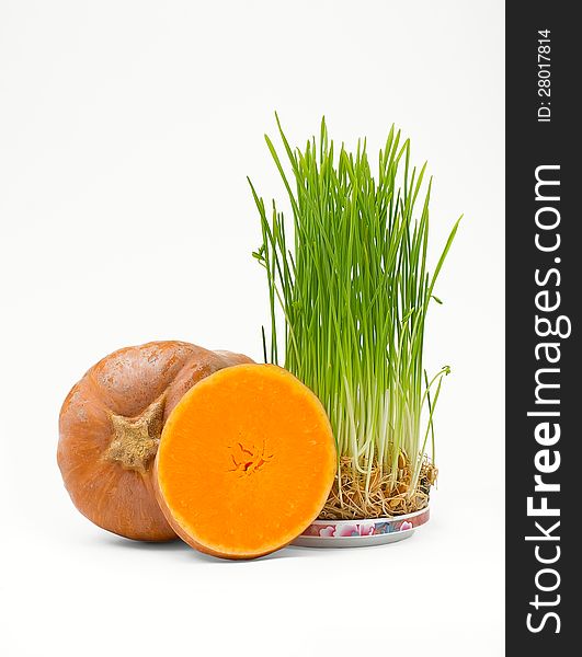 Orange pumpkins and living green shoots of wheat on a white background. Orange pumpkins and living green shoots of wheat on a white background