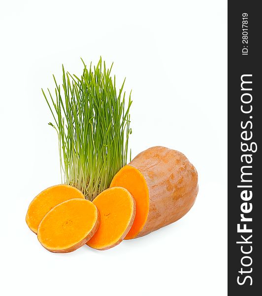 Little circles orange pumpkins and green shoots of wheat on a white background. Little circles orange pumpkins and green shoots of wheat on a white background