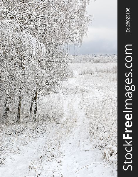 Country landscape after the first snowfall. Central Russia. Kaluga region. Country landscape after the first snowfall. Central Russia. Kaluga region.