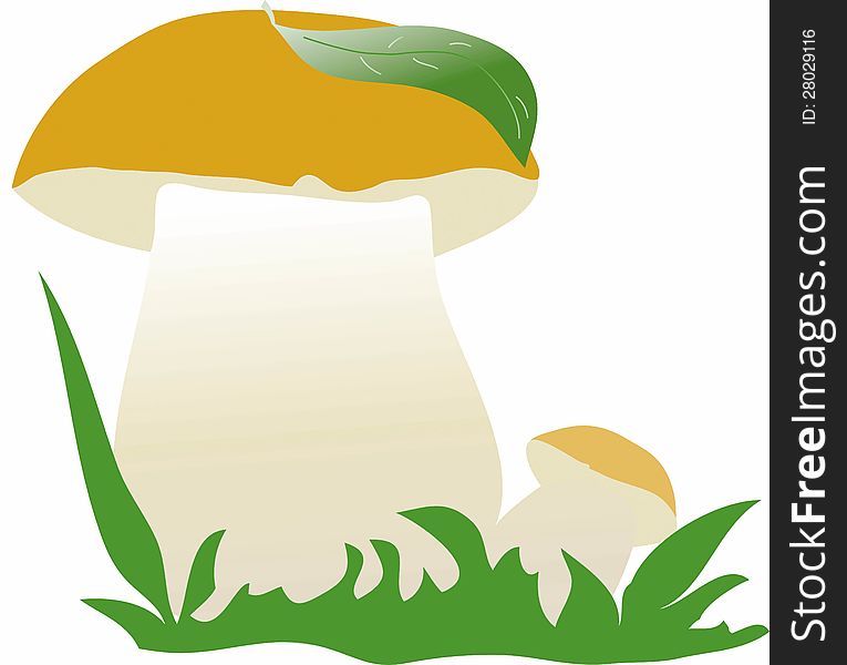 Illustration of the two mushrooms with the green leaves. Isolated on white. Illustration of the two mushrooms with the green leaves. Isolated on white