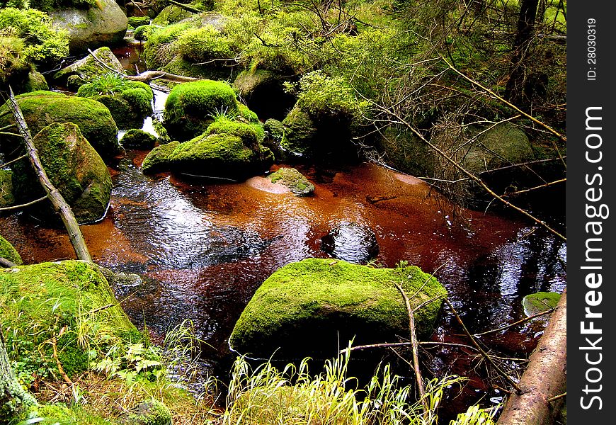 The river Ilse in the Harz National Park. The river Ilse in the Harz National Park