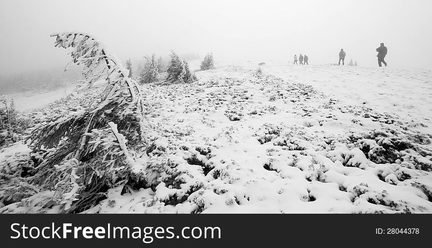 Group of people trekking in foggy winter landscape going to the top