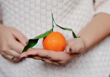 Mandarin Royalty Free Stock Image Mandarin Royalty Free Stock Image