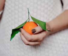 Mandarin Royalty Free Stock Images Mandarin Royalty Free Stock Images