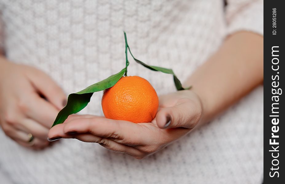 Close-up of woman's hands holding a ripe tangerine with leaf. Close-up of woman's hands holding a ripe tangerine with leaf