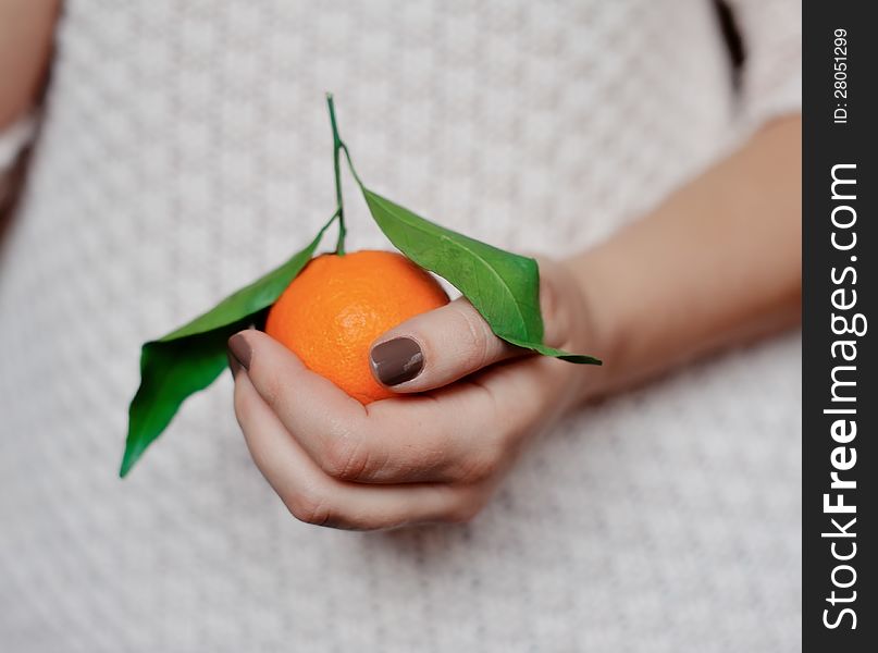 Close-up of woman's hands holding a ripe tangerine with leaf. Close-up of woman's hands holding a ripe tangerine with leaf