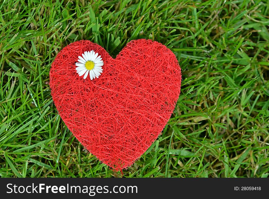 Valentines red heart on the grass, with white daisy