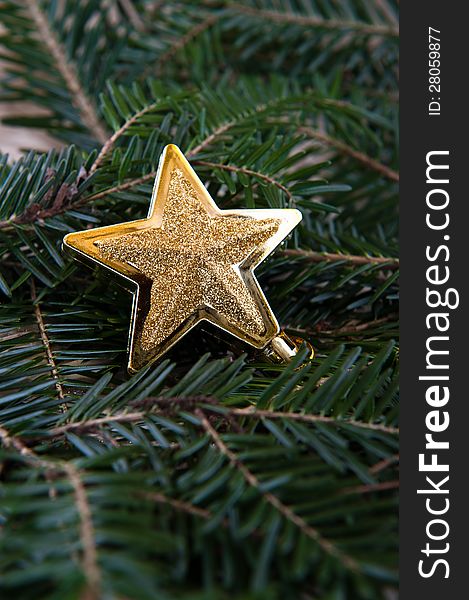 Golden christmas ornament in a christmas tree. Golden christmas ornament in a christmas tree