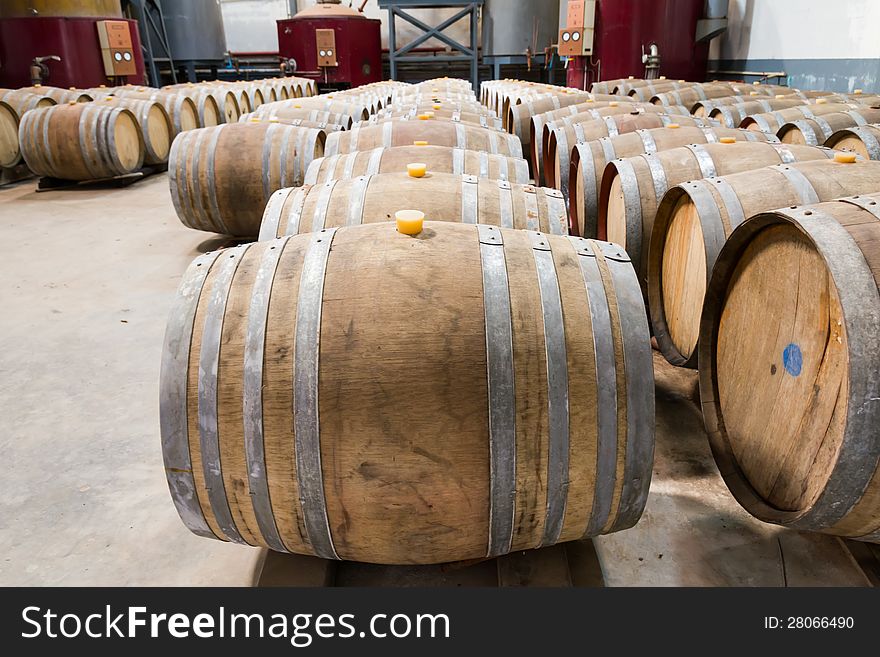 Wine cellar with the barrique barrels in wineries