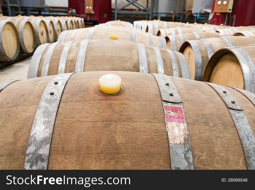 Wine cellar with the barrique barrels in wineries