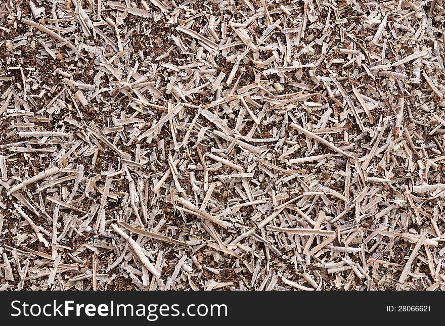 Wooden sawdust and Wood chips texture shavings background