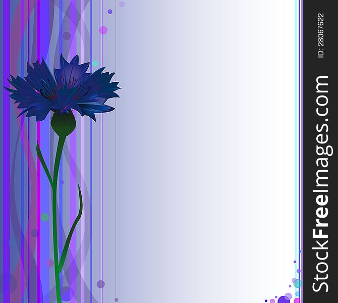 Cornflower with abstract background pattern