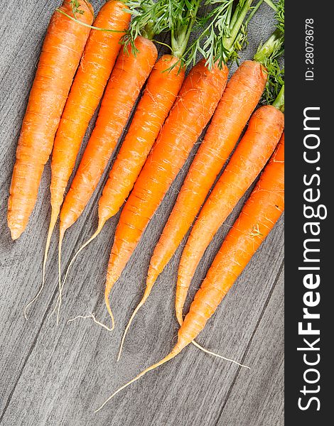 Biological carrots lying in row