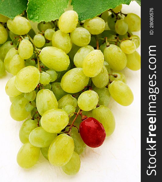 Bunch of fresh sweet green table grapes with one single dark aged grape at the bottom of the bunch