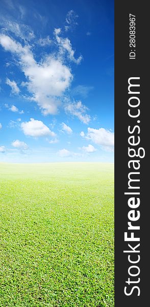 Grass And Sky Background