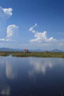 Wooden Bridge In A Lake Stock Image Wooden Bridge In A Lake Stock Image