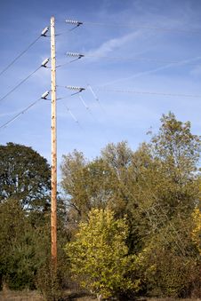 Power Lines, Trees, And Blue Sky Stock Photos Power Lines, Trees, And Blue Sky Stock Photos
