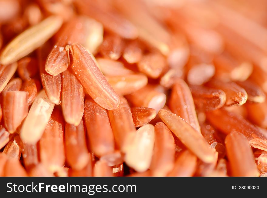 Organic brown rice ; source of vitamin and dietary fiber. Organic brown rice ; source of vitamin and dietary fiber.