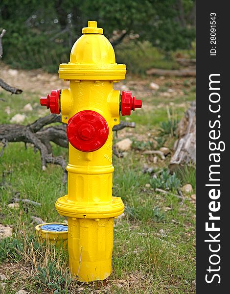 Image of a yellow fire hydrant - Tucson