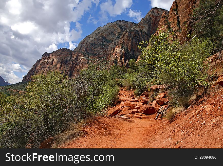 Zion National Park -Utah USA