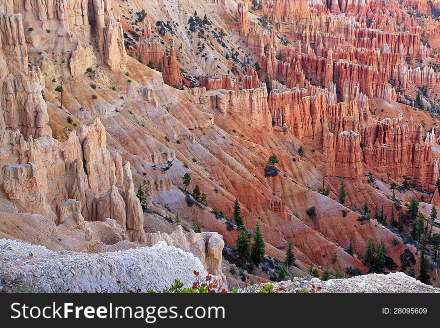 Great spires carved away by erosion in Bryce