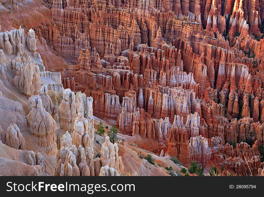 Great Spires Carved Away By Erosion In Bryce