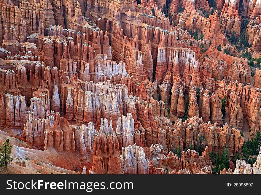 Rock Formation In Bryce Canyon