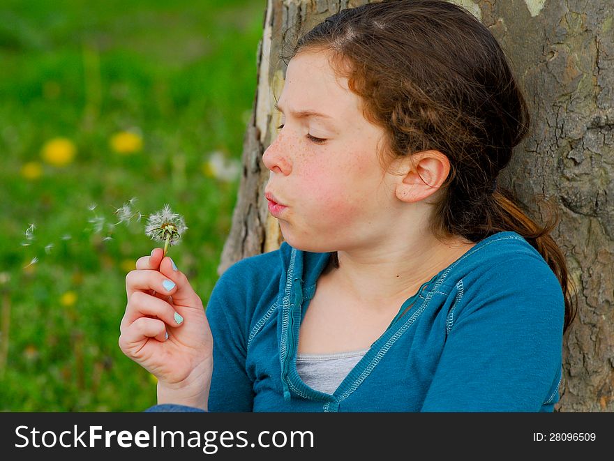 Young girl makes a wish and blows on a dandelion. Young girl makes a wish and blows on a dandelion.