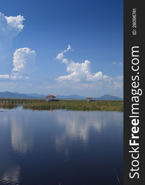 Wooden Bridge in a lake