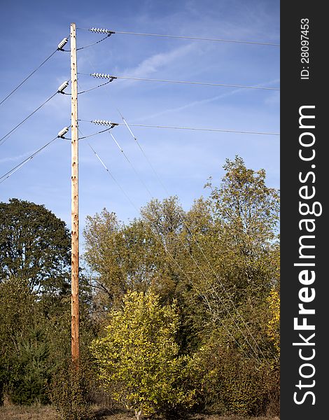 Power Lines, Trees, and Blue Sky