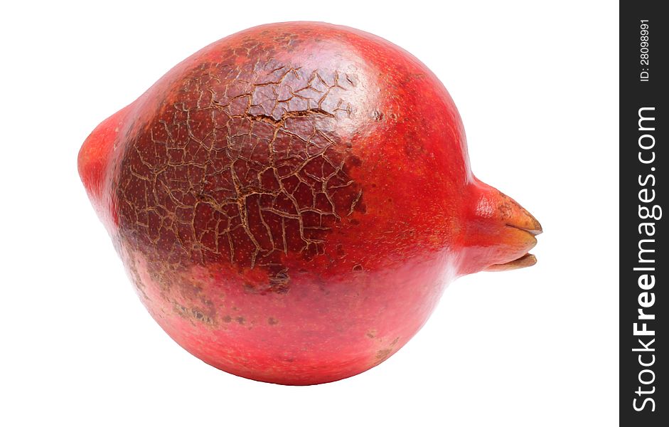 Pomegranate