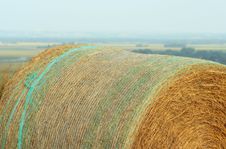 Round Bale With Netting Stock Images Round Bale With Netting Stock Images