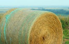Round Bale With Netting Royalty Free Stock Images Round Bale With Netting Royalty Free Stock Images