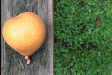 Pear Stock Image Pear Stock Image