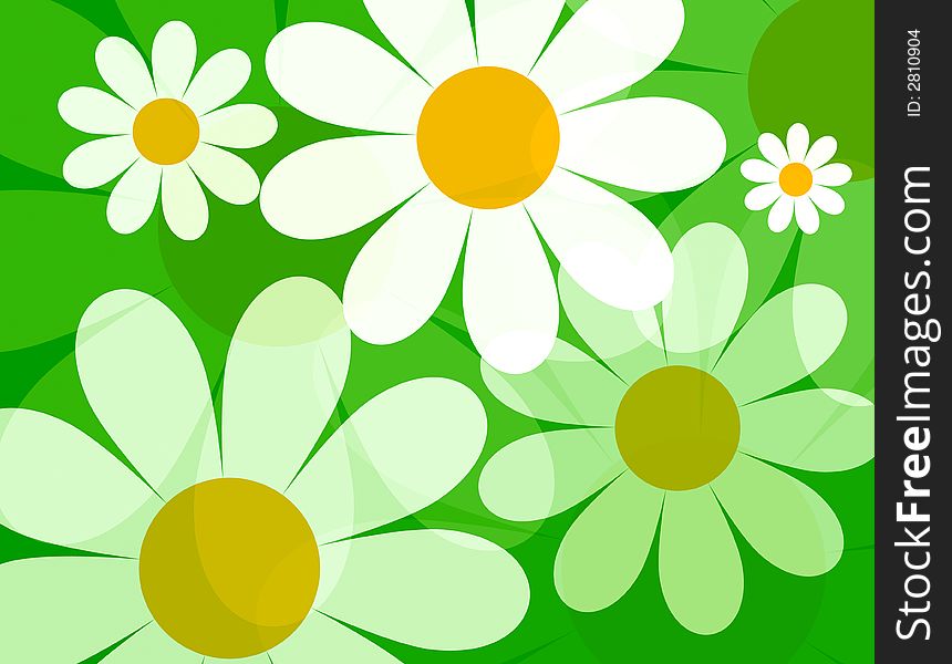 The stylized chamomiles on a green background
