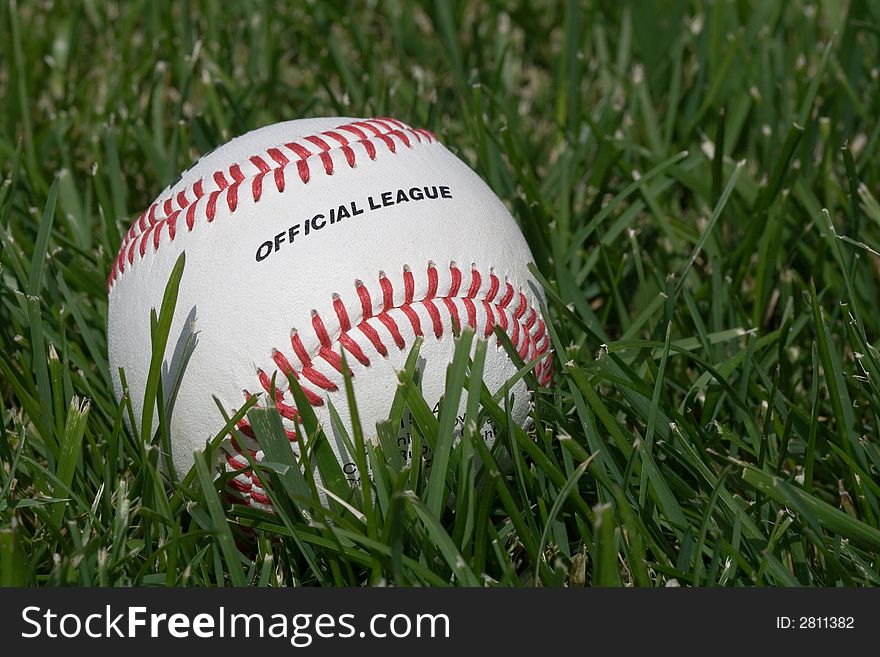 Official full grain leather cover baseball on the grass. Official full grain leather cover baseball on the grass