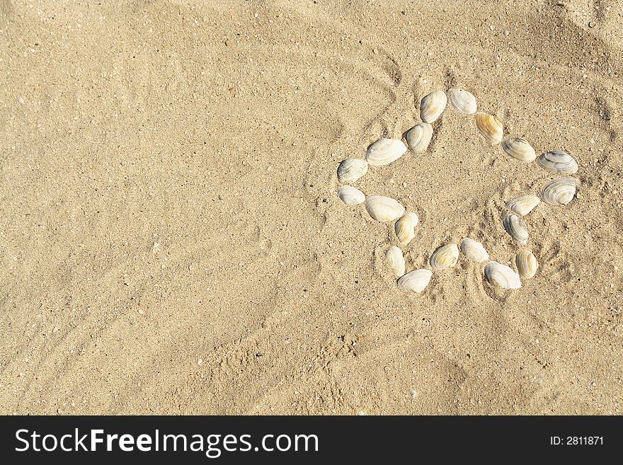 A star made of sea-shells on the sand