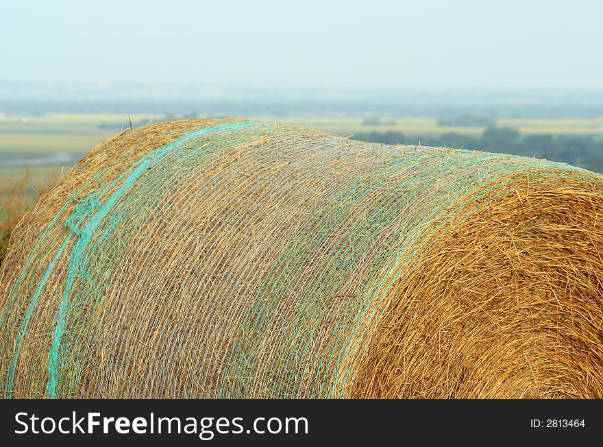 Round bale with netting on hill near Schuyler, Nebraska