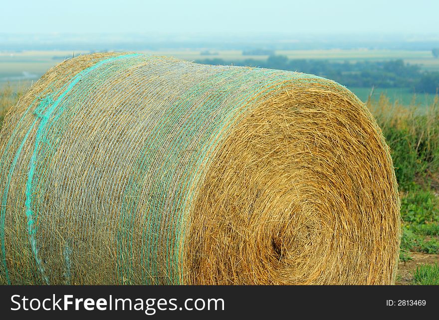 Round Bale With Netting